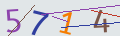 verifycode